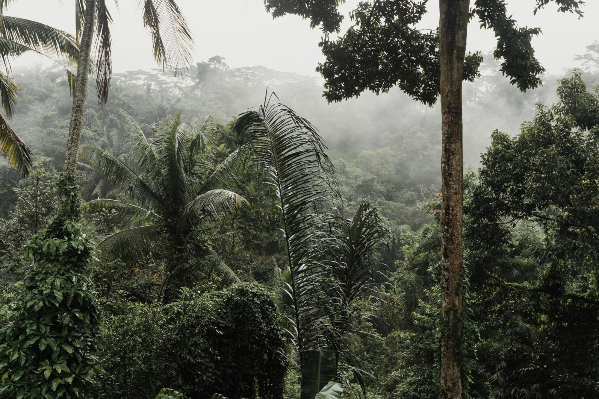 The Iyang Ubud Extérieur photo